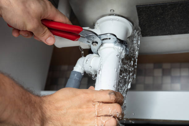 Best Water damage mitigation services  in Media, PA