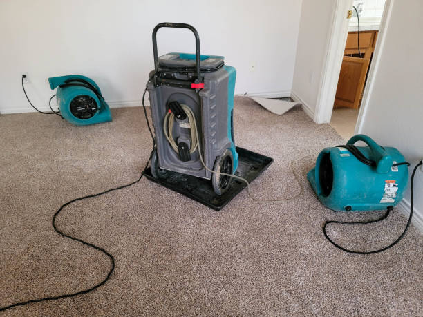 Best Water damage restoration near me  in Media, PA