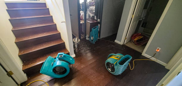 Best Professional water damage repair  in Media, PA
