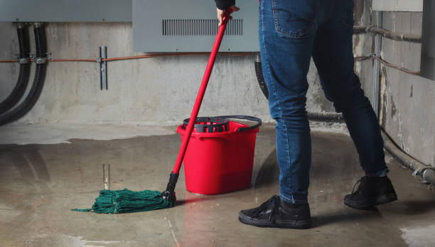 Best 24-hour water damage restoration  in Media, PA