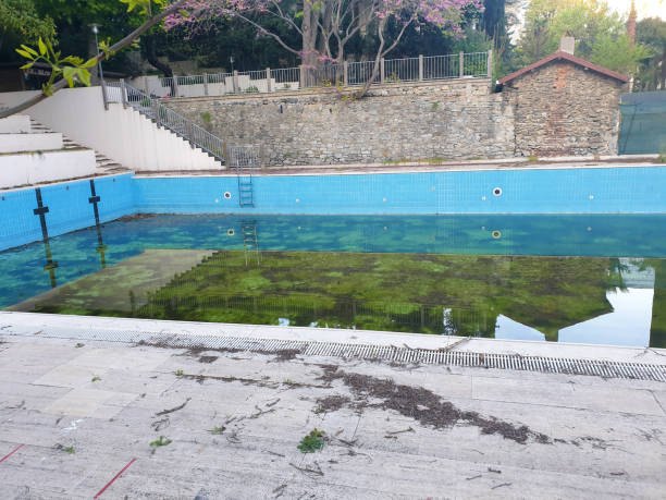 Best Flood restoration services  in Media, PA