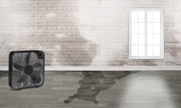 Best Water damage contractors near me  in Media, PA