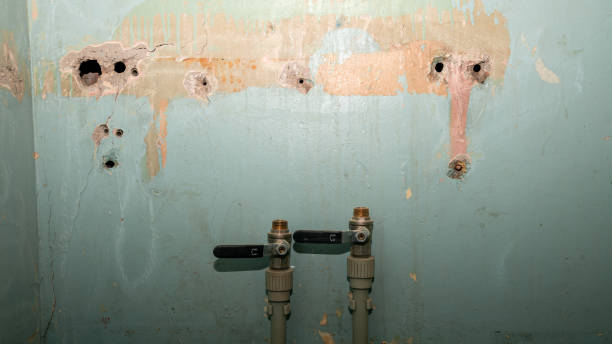 Best Carpet water damage restoration  in Media, PA